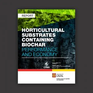 Biochar horticultural substrate