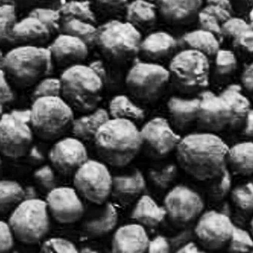 Replacing anthracite by biocoal for the iron ore industry